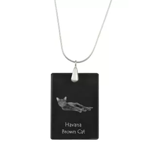 Havanna braun Katze - Crystal pendant with cat, silver necklace with photo, personalised pendant by Art-Dog brand