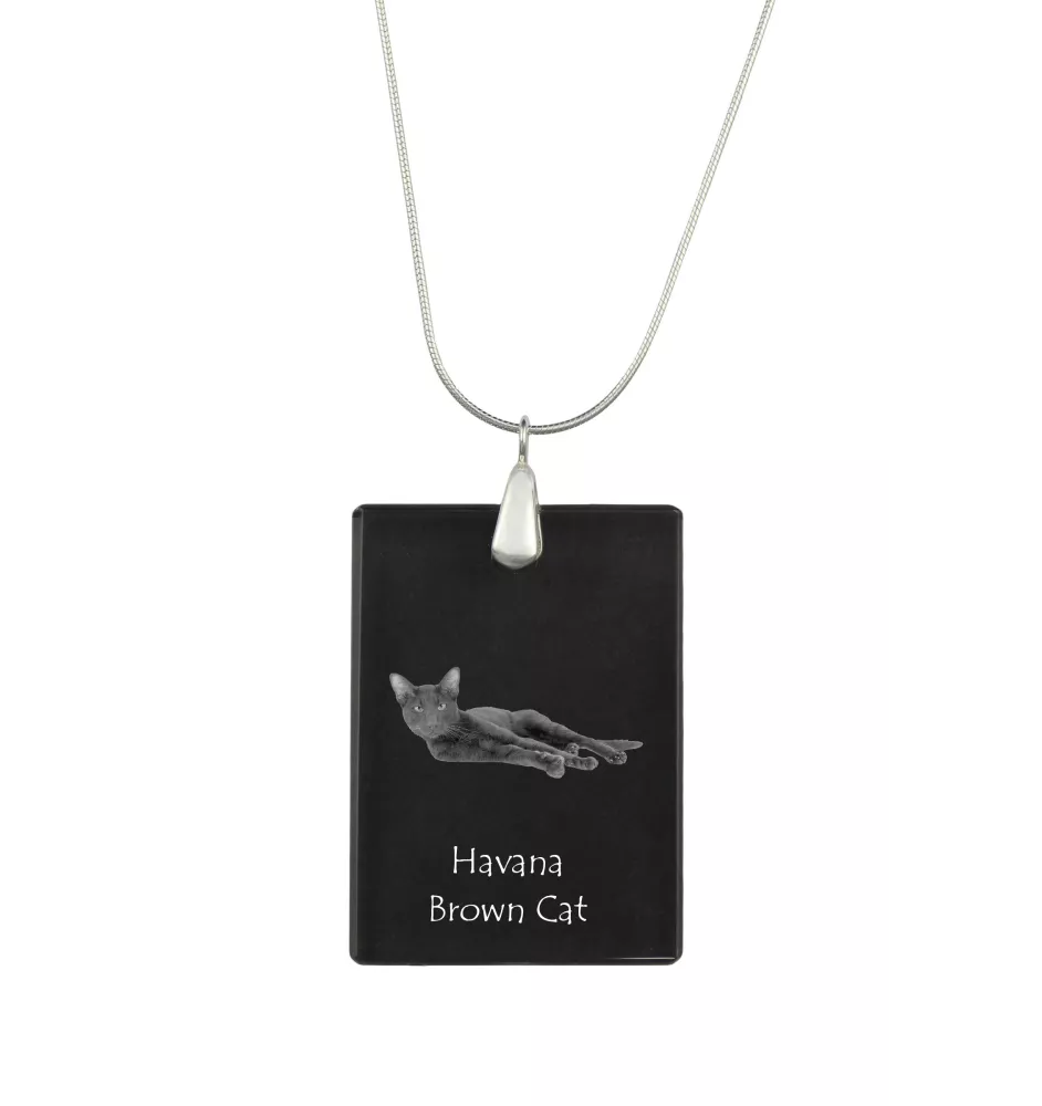 Havana brown Cat - Crystal pendant with cat, silver necklace with photo, personalised pendant by Art-Dog brand