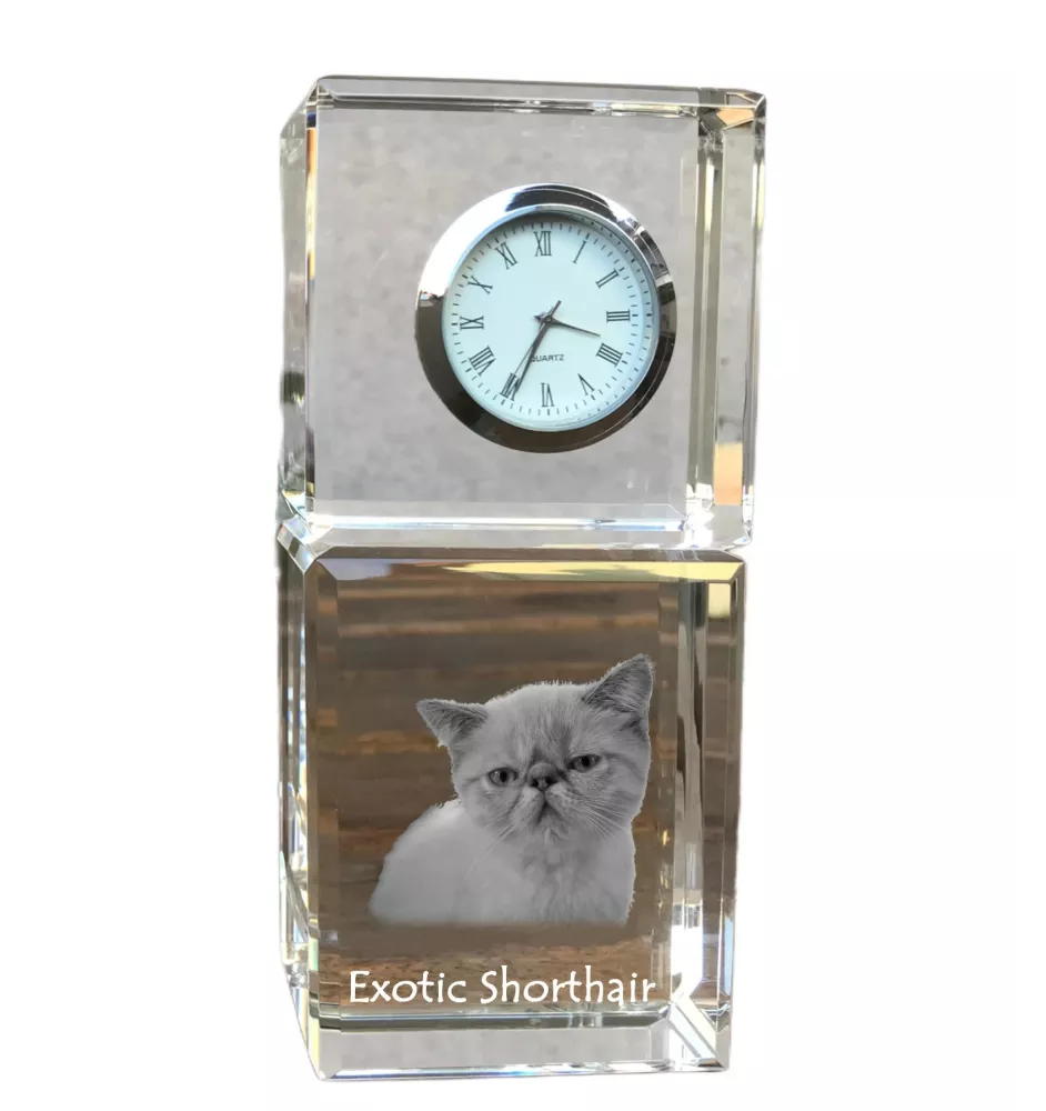 Exotic Shorthair - crystal clock with a photo, photo of a cat in crystal, personalized desk clock by Art-Dog brand