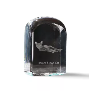 Havana brown Cat - crystal cube with a photo, photo of a cat in crystal, cubic paperweight from Art-Dog brand