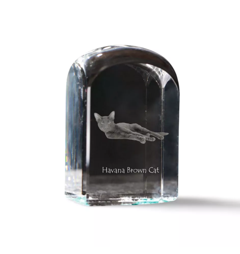 Havana brown Cat - crystal cube with a photo, photo of a cat in crystal, cubic paperweight from Art-Dog brand