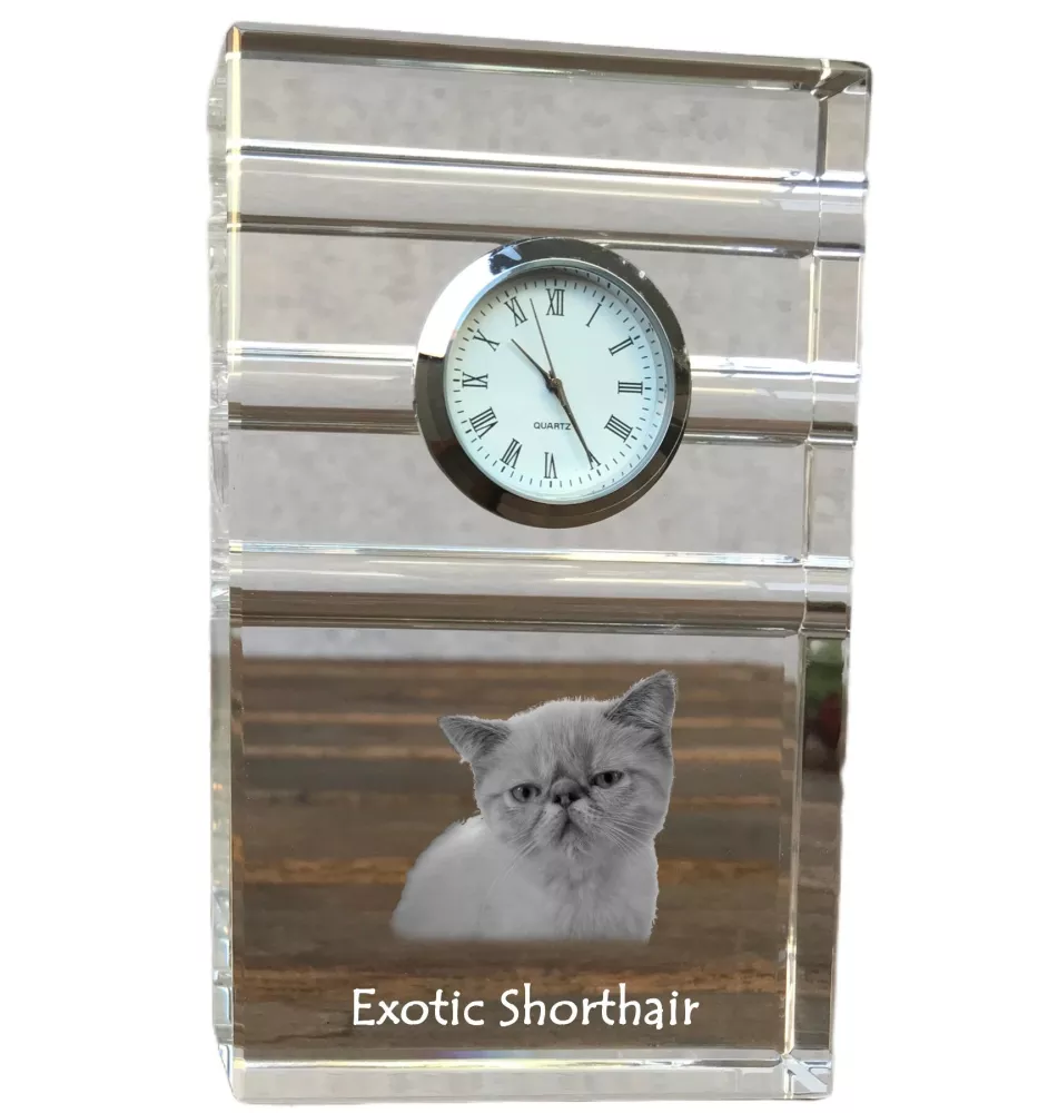 Exotique à poil court - une horloge en verre avec une photo, une photo de chat dans un cristal, une horloge de bureau personnalisée de la marque Art-Dog