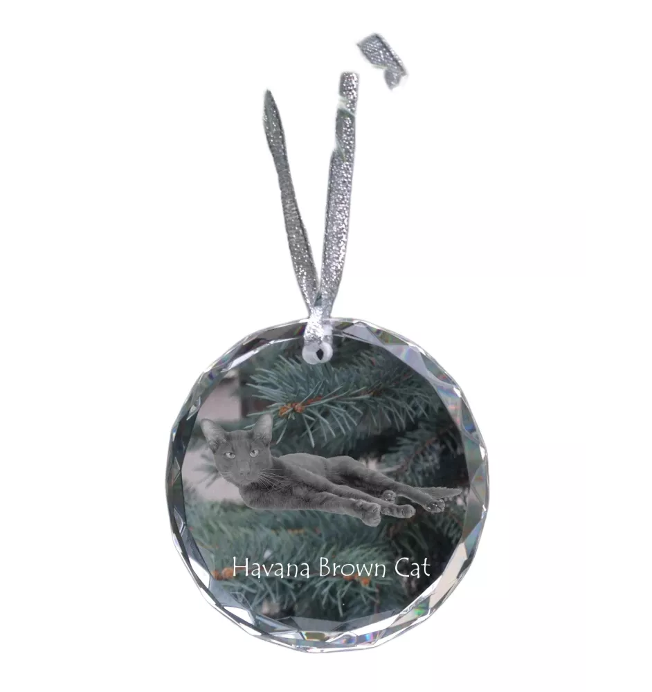 Havana brown Cat - crystal bauble with a photo, photo of a cat in crystal, personalized Christmas tree ornament by Art-Dog brand