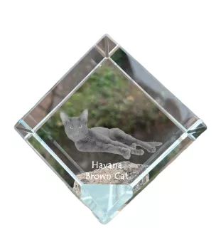 Havana brown Cat - crystal cube with a picture of a cat, crystal with a picture of a horse, cubic paperweight by Art-Dog brand
