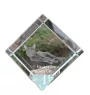 Havana brown Cat - crystal cube with a picture of a cat, crystal with a picture of a horse, cubic paperweight by Art-Dog brand