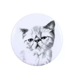 Exotic Shorthair - collection of unique magnets, own photo, Art-Dog brand