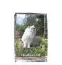 Chat de l'Himalaya - cristal avec une photo de chat, photo sous verre, exposition moderne de la marque de photos Art-Dog