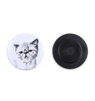 Exotique à poil court - collection de magnets uniques, photo personnelle, marque Art-Dog