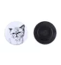 Exotic Shorthair - collection of unique magnets, own photo, Art-Dog brand