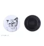 Exotisch Kurzhaar - Sammlung von einzigartigen Magneten, eigenes Foto, Marke Art-Dog