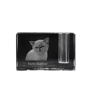 Exotique à poil court - Porte-stylos, organiseur en cristal avec photo de chat, décoration de bureau unique par la marque Art-Dog