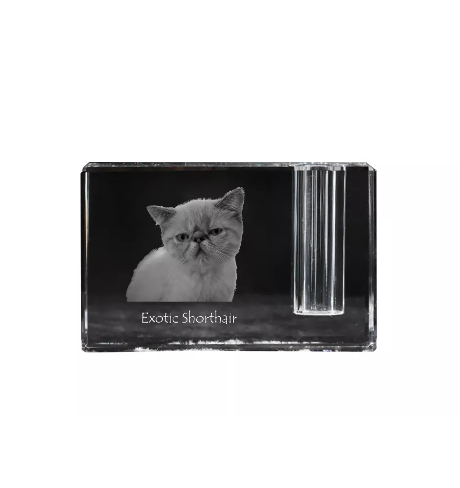 Exotique à poil court - Porte-stylos, organiseur en cristal avec photo de chat, décoration de bureau unique par la marque Art-Dog