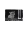 Exotisch Kurzhaar - Stifthalter, Kristallorganizer mit Katzenfoto, einzigartige Schreibtischdekoration der Marke Art-Dog