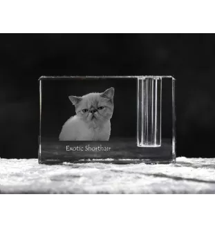 Exotique à poil court - Porte-stylos, organiseur en cristal avec photo de chat, décoration de bureau unique par la marque Art-Dog