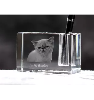 Exotique à poil court - Porte-stylos, organiseur en cristal avec photo de chat, décoration de bureau unique par la marque Art-Dog