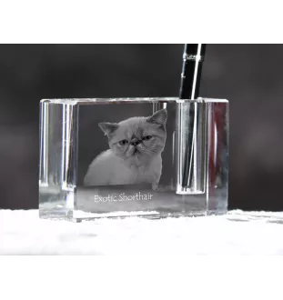 Exotisch Kurzhaar - Stifthalter, Kristallorganizer mit Katzenfoto, einzigartige Schreibtischdekoration der Marke Art-Dog