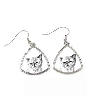 Exotic Shorthair - cat earrings, hanging earrings with a picture, personalized jewelry with Art-Dog brand print.