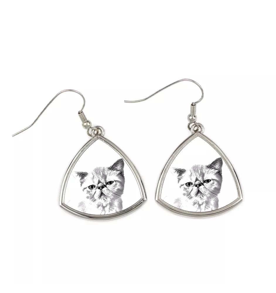 Exotique à poil court - boucles d'oreilles avec un chat, boucles d'oreilles pendantes avec une image, bijoux personnalisés avec l'impression de la marque Art-Dog