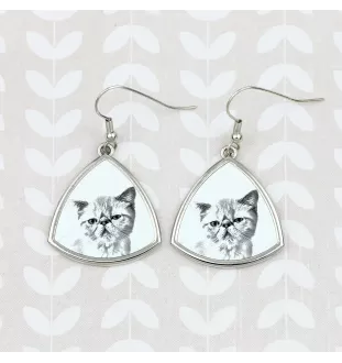 Exotisch Kurzhaar - Katzenohrringe, hängende Ohrringe mit Bild, personalisierter Schmuck mit dem Aufdruck der Marke Art-Dog