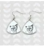 Exotic Shorthair - cat earrings, hanging earrings with a picture, personalized jewelry with Art-Dog brand print.