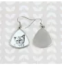 Exotisch Kurzhaar - Katzenohrringe, hängende Ohrringe mit Bild, personalisierter Schmuck mit dem Aufdruck der Marke Art-Dog