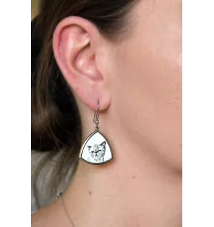 Exotisch Kurzhaar - Katzenohrringe, hängende Ohrringe mit Bild, personalisierter Schmuck mit dem Aufdruck der Marke Art-Dog