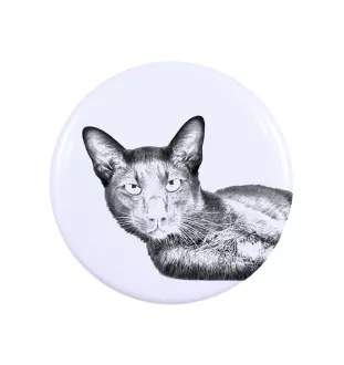 Havana brown Cat - collection of unique magnets, own photo, Art-Dog brand