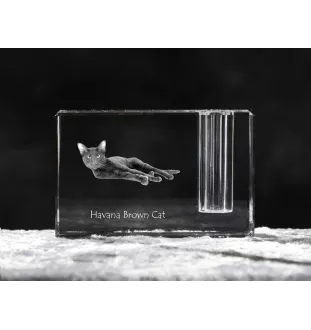 Havanna braun Katze - Stifthalter, Kristallorganizer mit Katzenfoto, einzigartige Schreibtischdekoration der Marke Art-Dog