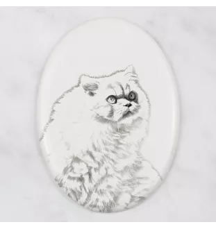 Chat de l'Himalaya - une plaque commémorative avec une photo de chat, une plaque funéraire avec une impression, une plaque ovale personnalisée de la marque Art-Dog