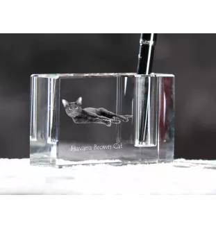 Havanna braun Katze - Stifthalter, Kristallorganizer mit Katzenfoto, einzigartige Schreibtischdekoration der Marke Art-Dog