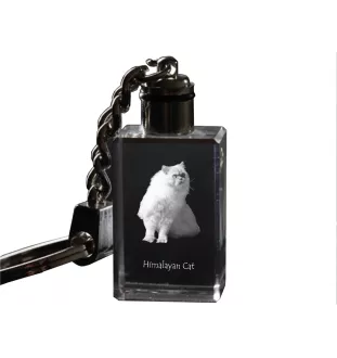 Himalayen - Pendentif en cristal avec photo de chat, pendentif lumineux, cadeau unique de la marque Art-Dog