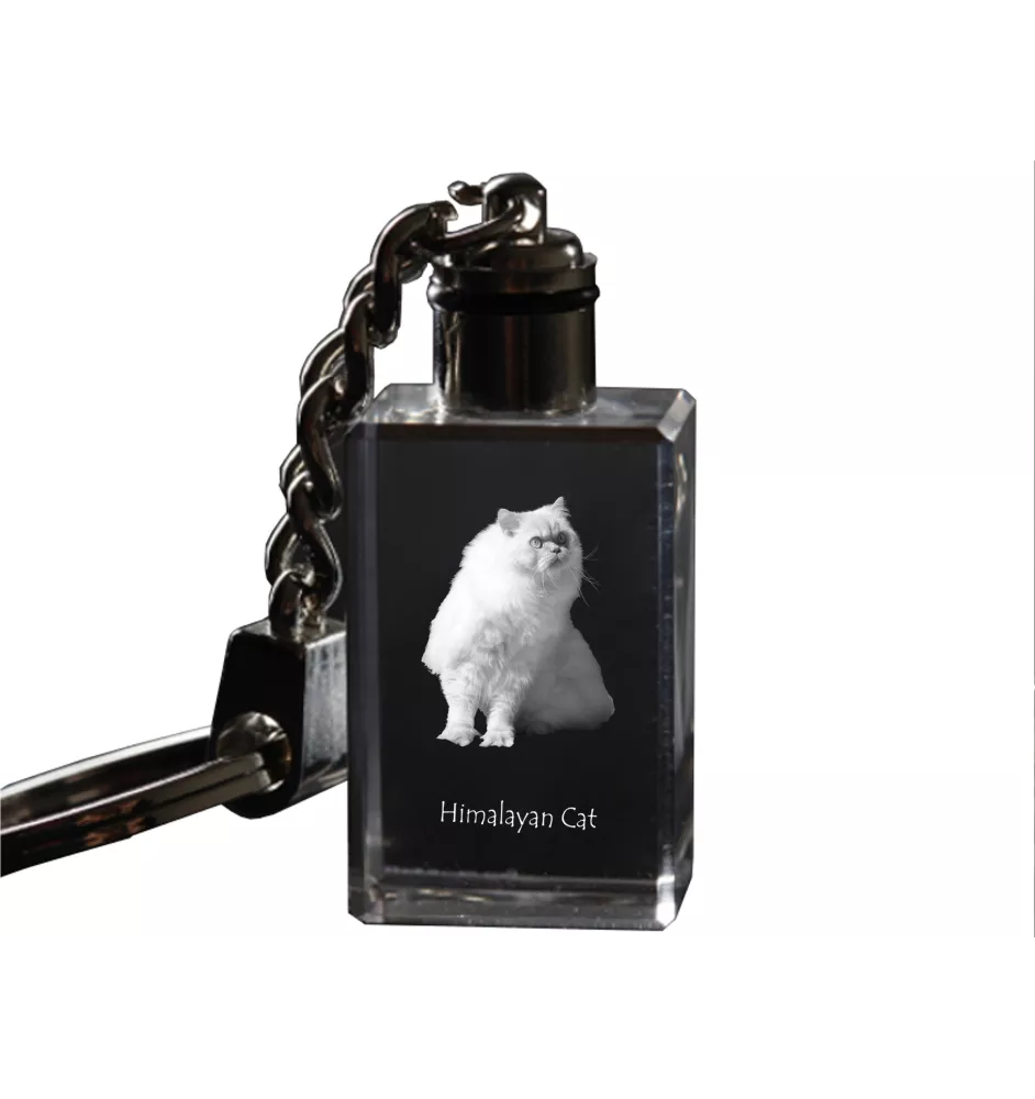Himalayen - Pendentif en cristal avec photo de chat, pendentif lumineux, cadeau unique de la marque Art-Dog