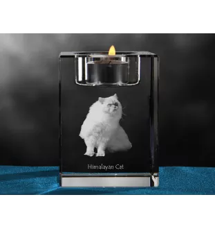Himalayen - Bougeoir avec photo de chat, porte bougie en cristal, cadeau personnalisé par la marque Art-Dog