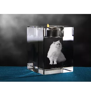 Himalayan - Kerzenhalter mit Katzenfoto, Teelichthalter aus Kristall, personalisiertes Geschenk der Marke Art-Dog