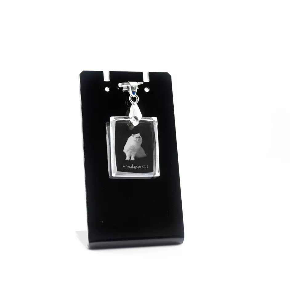 Chat de l'Himalaya - Crystal cat pendant, photo necklace, unique jewellery by Art-Dog