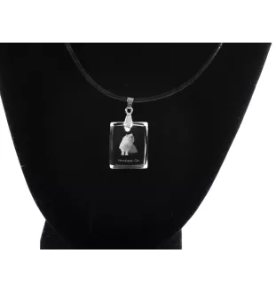 Himalayakatze - Crystal cat pendant, photo necklace, unique jewellery by Art-Dog