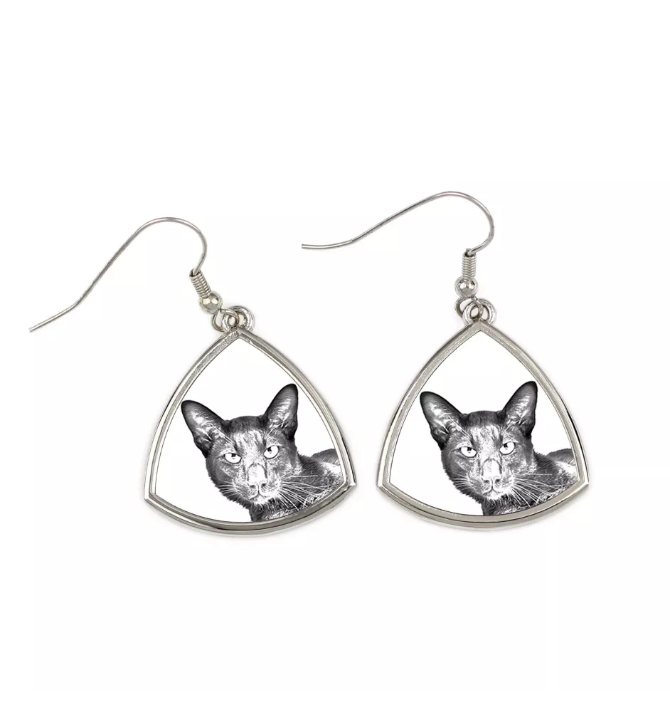 Chat Havana brown - boucles d'oreilles avec un chat, boucles d'oreilles pendantes avec une image, bijoux personnalisés avec l'impression de la marque Art-Dog