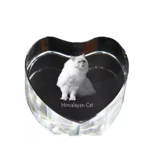Chat de l'Himalaya - une horloge en cristal avec une photo de chat, une horloge en forme de cœur pour étagère, une horloge debout personnalisée de la marque Art-Dog