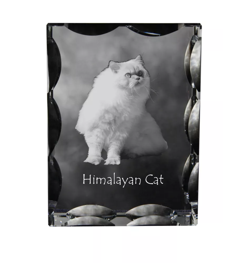 Chat de l'Himalaya - cristal avec une photo de chat, une statuette en verre avec une photo, un cadre exceptionnel avec une photo de la marque Art-Dog