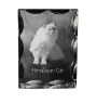 Chat de l'Himalaya - cristal avec une photo de chat, une statuette en verre avec une photo, un cadre exceptionnel avec une photo de la marque Art-Dog