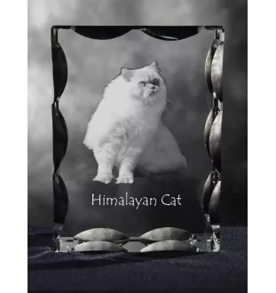 Himalayan Cat - crystal with a cat picture, glass statuette with a picture, unique frame with a picture from Art-Dog brand