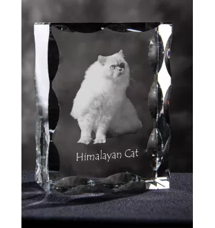 Chat de l'Himalaya - cristal avec une photo de chat, une statuette en verre avec une photo, un cadre exceptionnel avec une photo de la marque Art-Dog