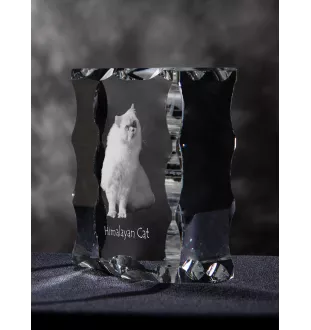 Himalayan Cat - crystal with a cat picture, glass statuette with a picture, unique frame with a picture from Art-Dog brand