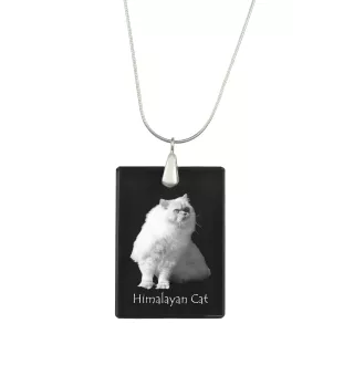 Himalayakatze - Crystal pendant with cat, silver necklace with photo, personalised pendant by Art-Dog brand
