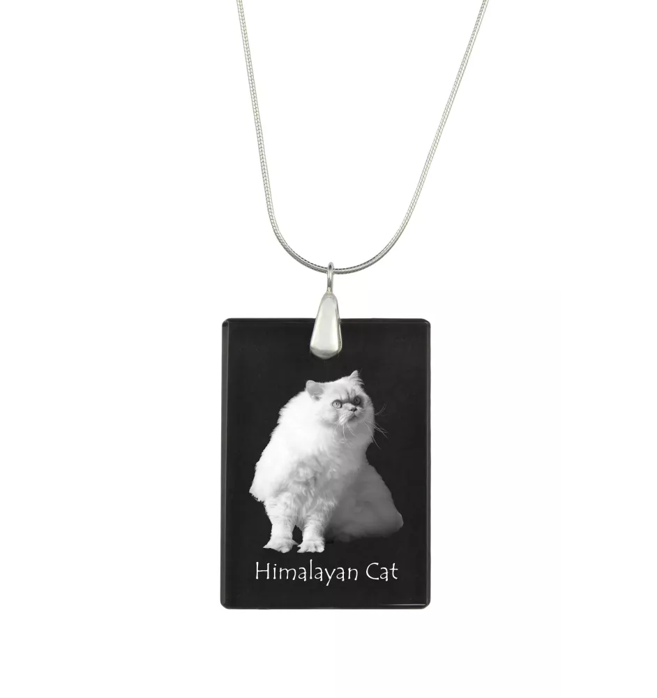 Himalayakatze - Crystal pendant with cat, silver necklace with photo, personalised pendant by Art-Dog brand