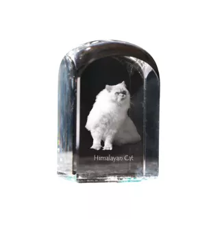 Chat de l'Himalaya - un cube en cristal avec une photo, une photo de chat dans le cristal, un presse-papiers cubique de la marque Art-Dog