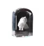 Himalayan Cat - crystal cube with a photo, photo of a cat in crystal, cubic paperweight from Art-Dog brand