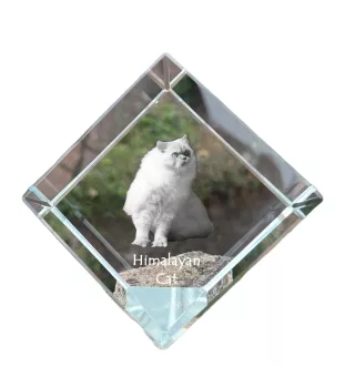 Himalayan Cat - crystal cube with a picture of a cat, crystal with a picture of a horse, cubic paperweight by Art-Dog brand