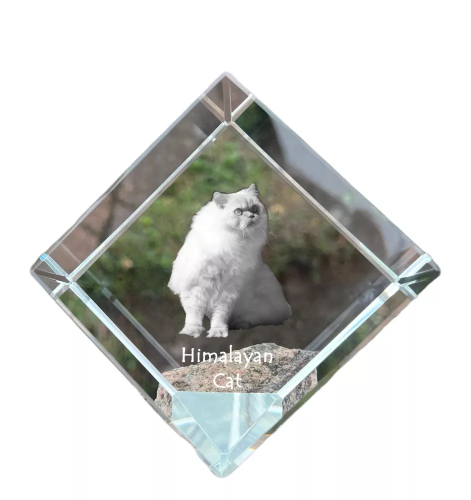 Himalayan Cat - crystal cube with a picture of a cat, crystal with a picture of a horse, cubic paperweight by Art-Dog brand