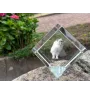 Chat de l'Himalaya - un cube en cristal avec une photo de chat, une photo de cheval dans le cristal, un presse-papiers cubique de la marque Art-Dog